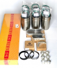 5010359561 Набір на двигун RVI Premium 420 Dci 11 (RVI-Dongfeng)